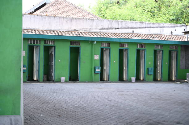Best Affordable portable toilet rental  in Pinckney, MI